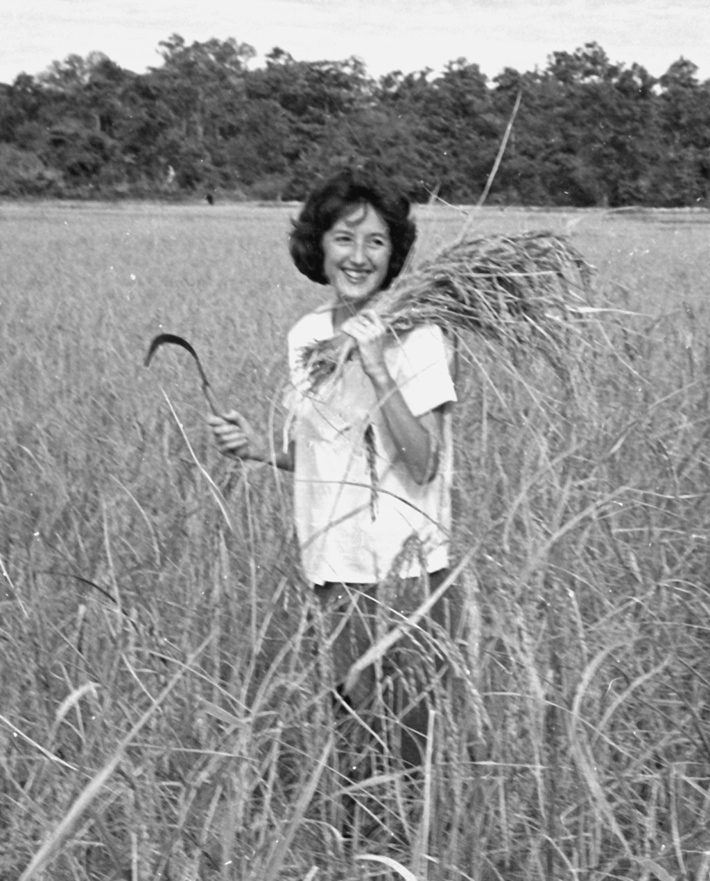Jane Keyes harvesting rice | Culturio แพลตฟอร์มการเรียนรู้ทางวัฒนธรรม